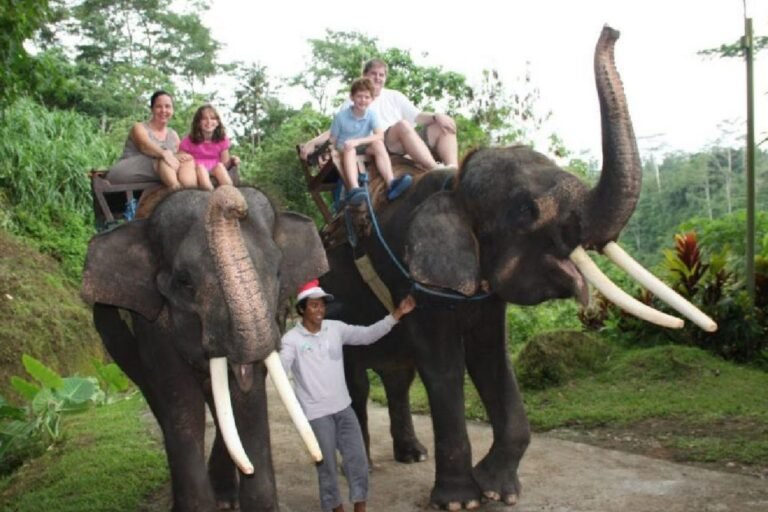 Bali Zoo Elephant Ride - Bali Travel Time